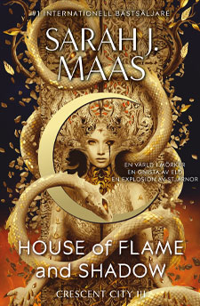 Bokomslag till House of flame and shadow
